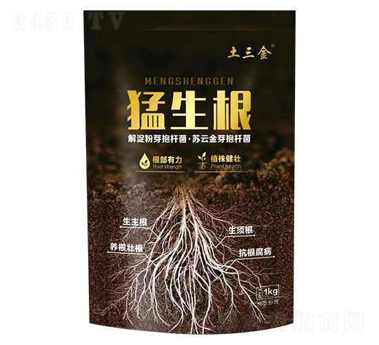 ������-������-�S������