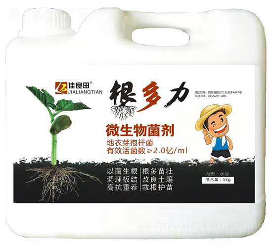 ΢�������-������-���z��