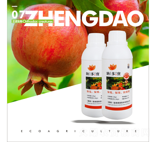 �{����-��������