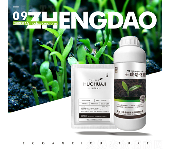 �������-��������