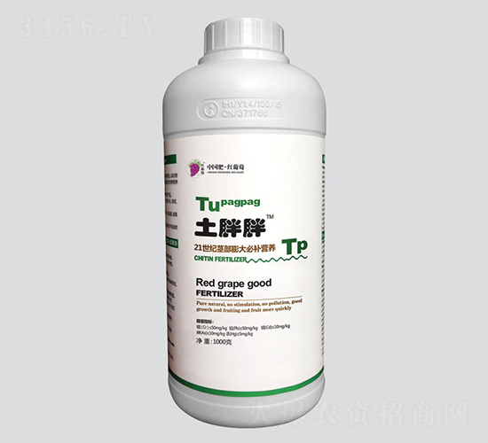 �������o�������a�I�B(y��ng)-�t����