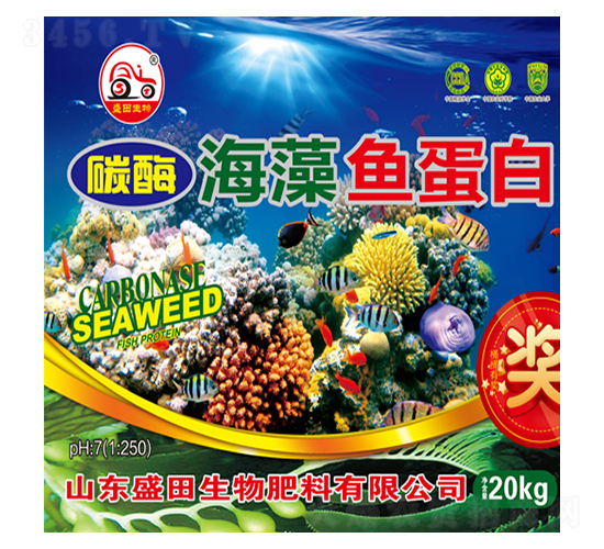 ̼ø�����~����-ʢ������