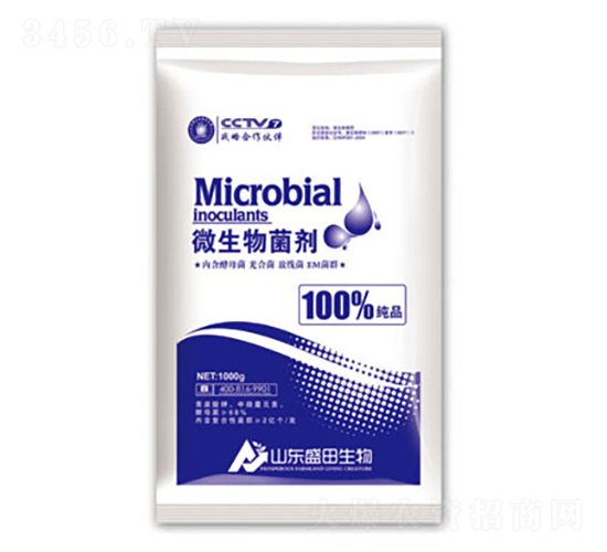 ΢�������-ʢ������