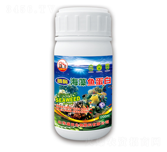 �����~����-ʢ������