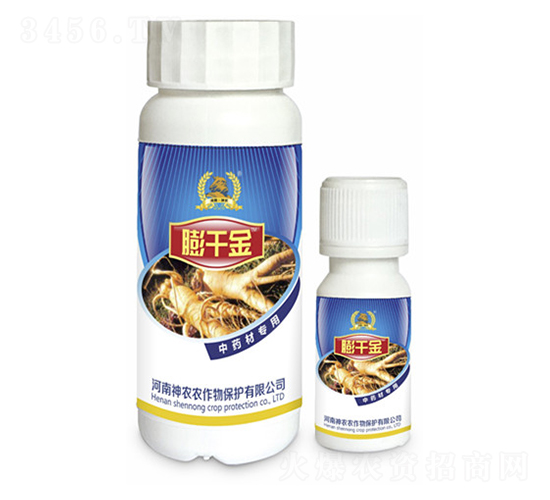 ��ˎ�Č�(zhu��n)���~���-��ǧ��-�������r(n��ng)