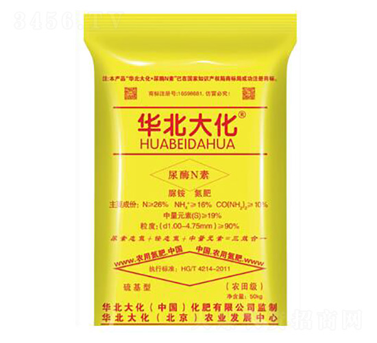 ���@���ʣ������)-�A����