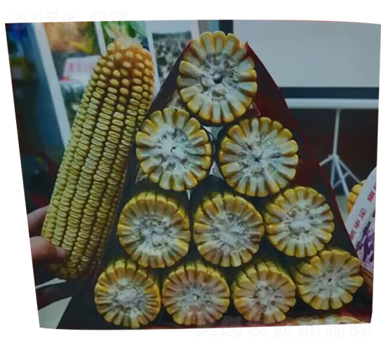 �]��9105-���׷N��-���зN�I(y��)