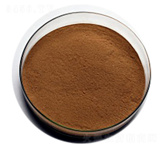 �ݲ�ѿ�ߗU��-��ɏ���