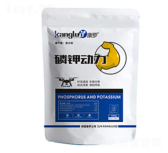 ��⛄���-���_