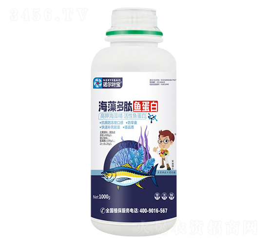 ��������~����-�Z���~��-�Z���S