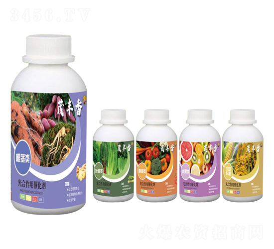 ���o�����ô߻���-ï�S��