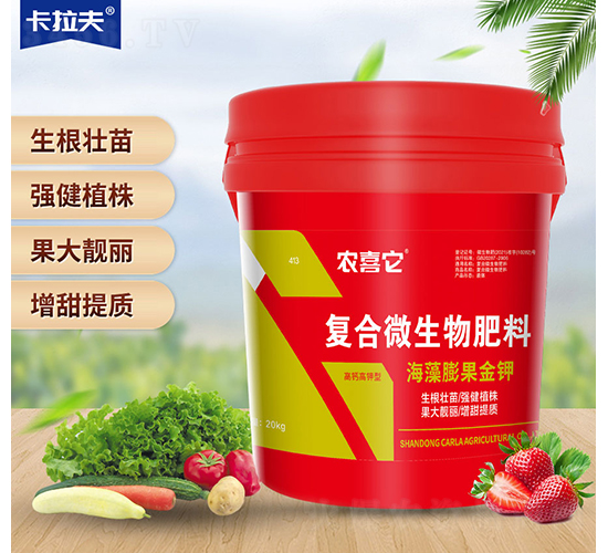 ��(f��)��΢�������-����������-�r(n��ng)ϲ��-������