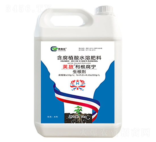 ������-Ӣ������������-��ɭԪ