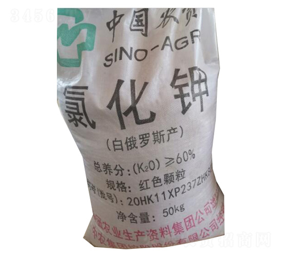 ���r(n��ng)�Ȼ��-�ѷ�Ԫ