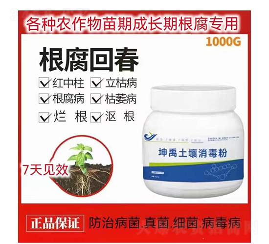 ��������������-�����