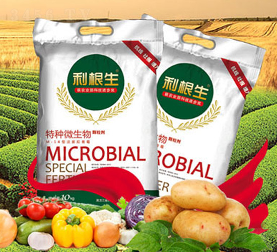 ������-�ش���