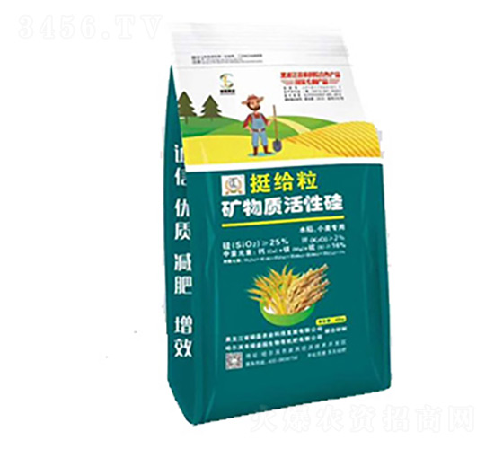 ͦ�o���V���|(zh��)���Թ�-�T���r(n��ng)�I(y��)