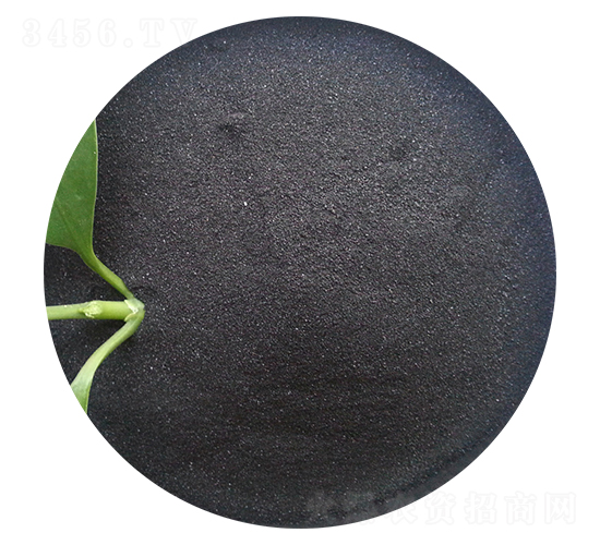 ��ֲ���@-�ֵ��S