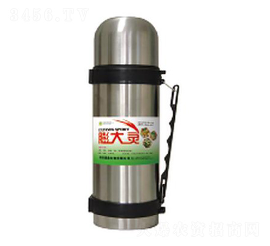 ����`������-��������