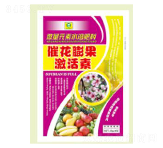 �߻����������-��������