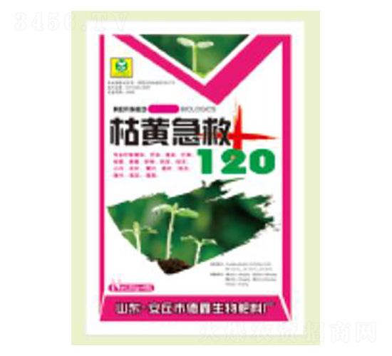 25g���S����-��������