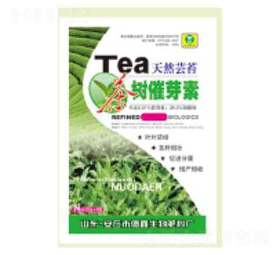 ����ѿ��25g-��������