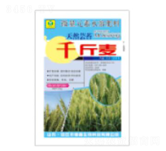 ǧ����-��������