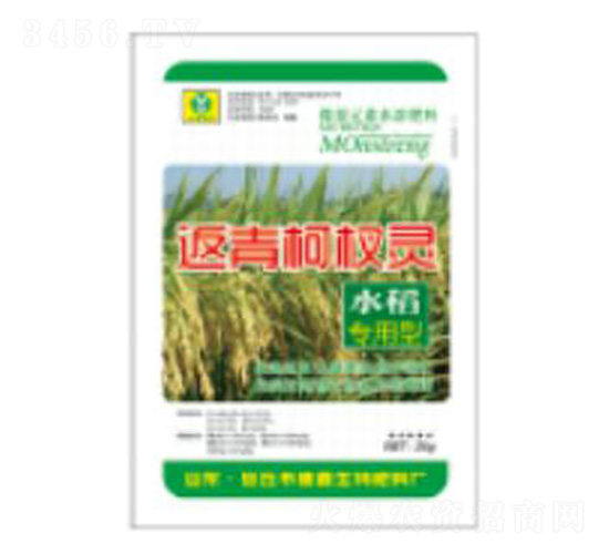 �������`-��������