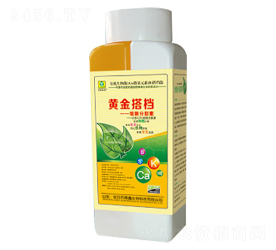 ��(x��)��������-�S���n-��������