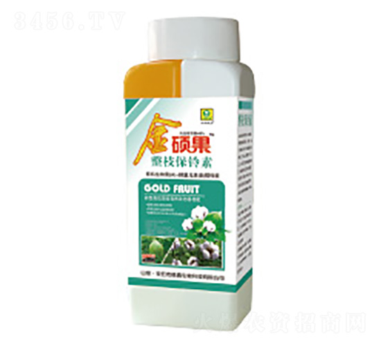 �޻���֦�����-��T��-��������