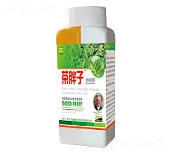 �������~���-��������