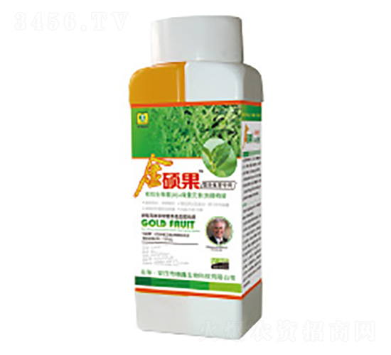 ��T���~���-��������