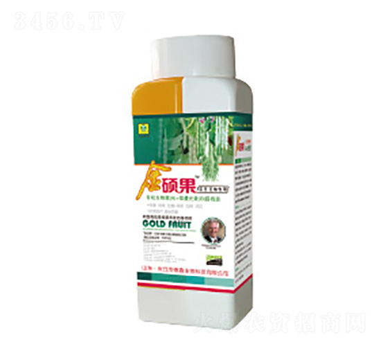 ���ǌ��ý�T���~���-��������