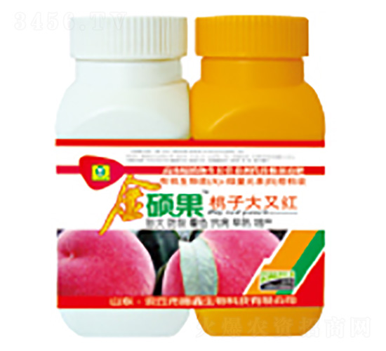 ���Ӵ��ּt-��T��-��������