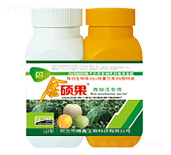 ����ό����~���-��T��-��������