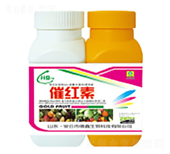 �߼t��-��������