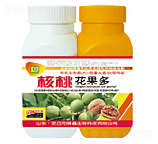 ���һ�����-��������