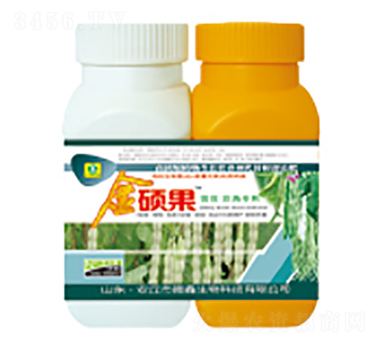 �|�����ǌ����~���-��T��-��������