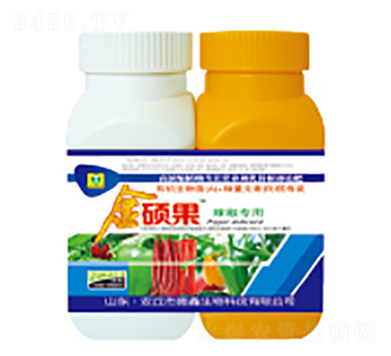 ���������~���-��T��-��������