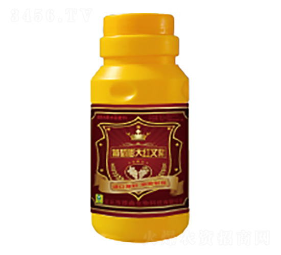 ����������~���-��������