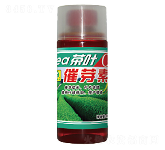 ���~��ѿ��-��������