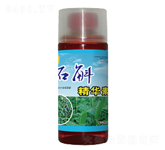 ʯ�����A��-��������