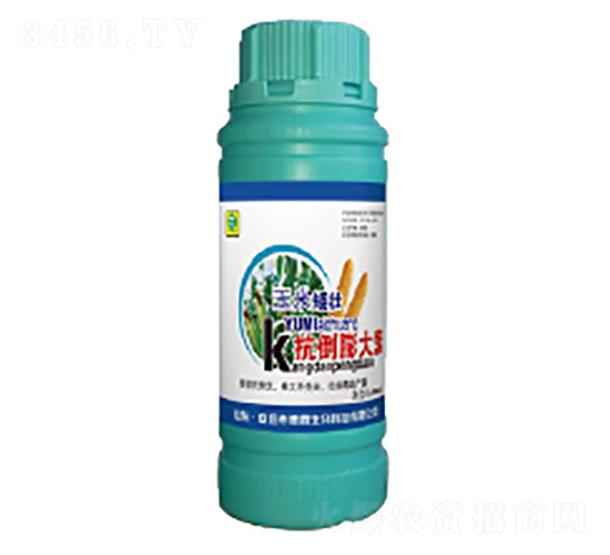 ���װ��ѿ��������-��������