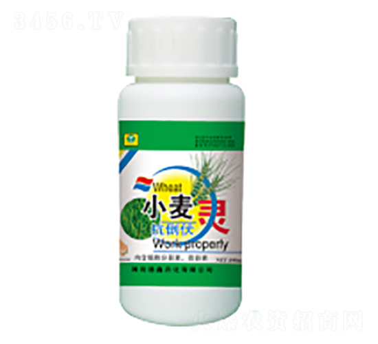 С���������`-��������