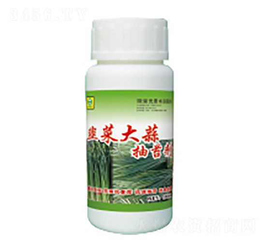 �²˴����̦��-��������