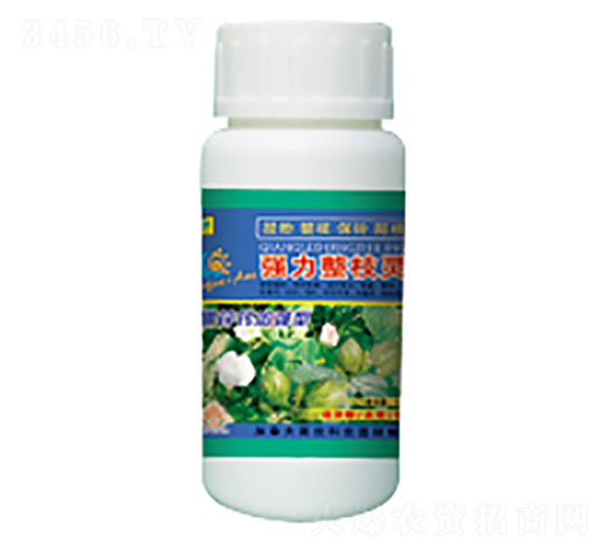 �޻���(qi��ng)����֦�`-��������