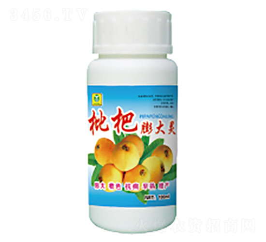 ���������-��������