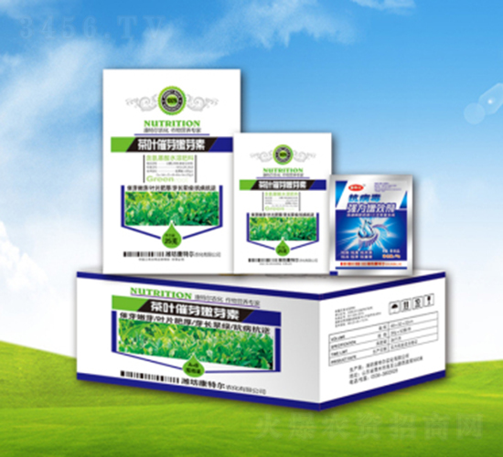 ���~��ѿ��ѿ��-���ؠ��r(n��ng)��