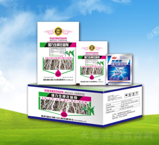 �����������焩-���ؠ��r(n��ng)��