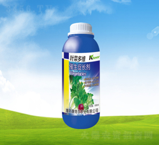 �~�˶�S�������L��-���ؠ��r(n��ng)��